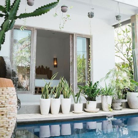 Cat Cow Yoga Villa تْشانغو المظهر الخارجي الصورة
