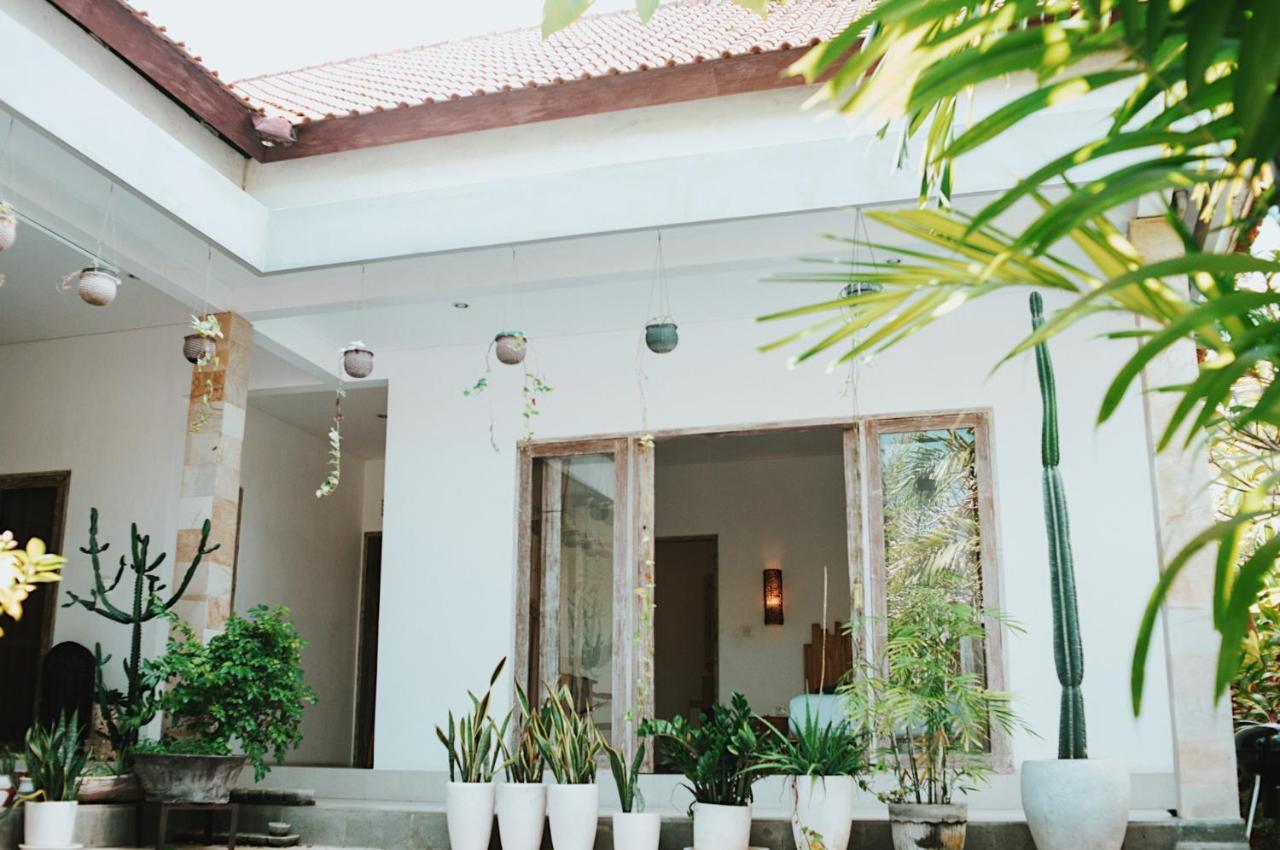 Cat Cow Yoga Villa تْشانغو المظهر الخارجي الصورة